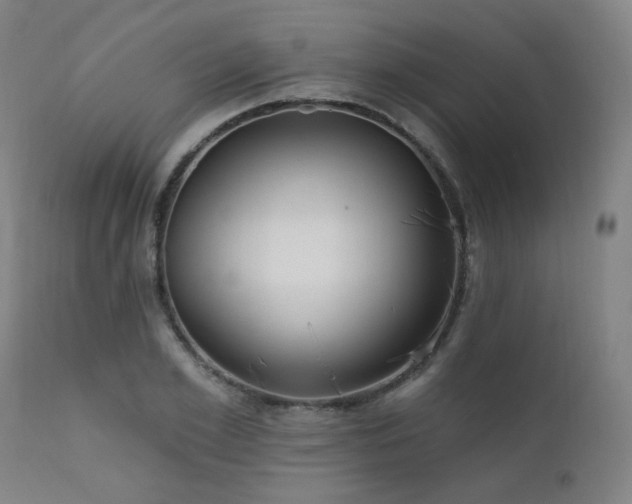 X0000111460981200907131451