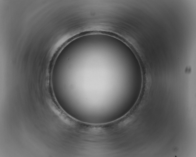 X0000111460982200907131451