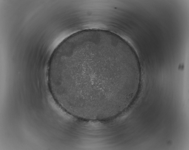 X0000111460983200907131451