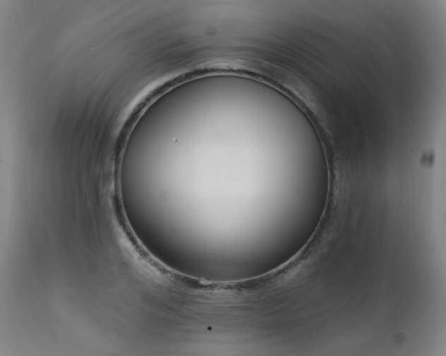 X0000111460984200907131451