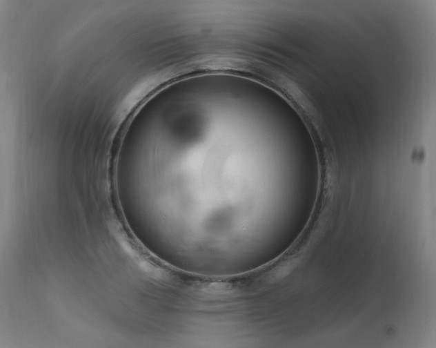 X0000111460986200907131451