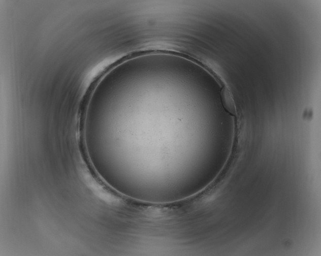 X0000111460987200907131451