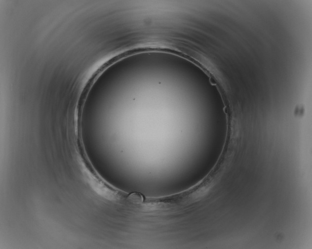 X0000111460988200907131451