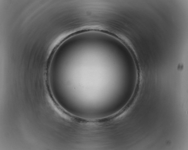 X0000111460989200907131451