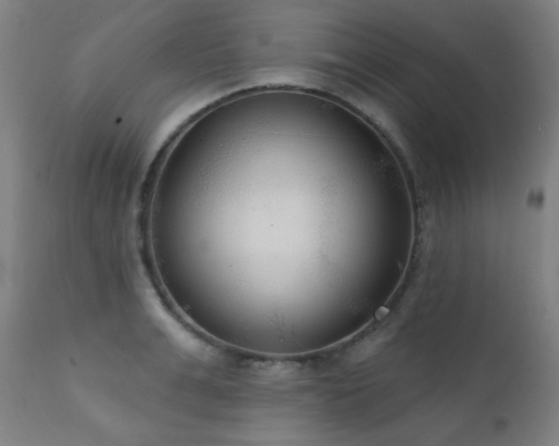 X0000111460991200907131451