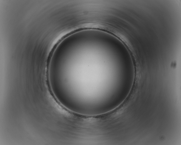 X0000111460992200907131451