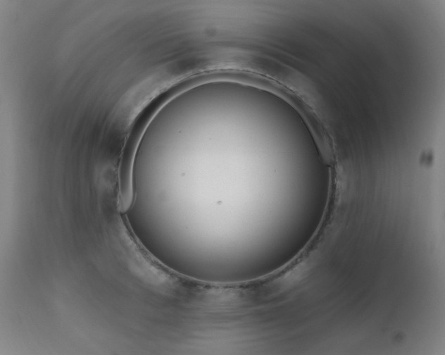 X0000111460993200907131451