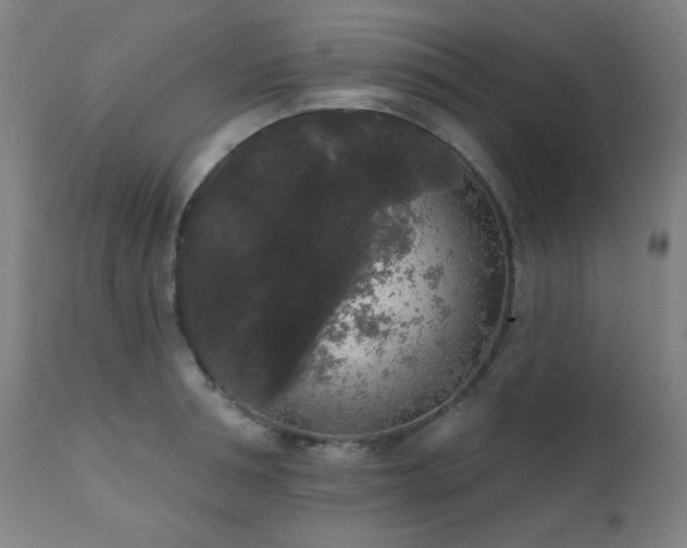 X0000111460994200907131451