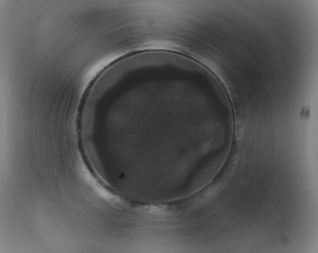 X0000111460995200907131451