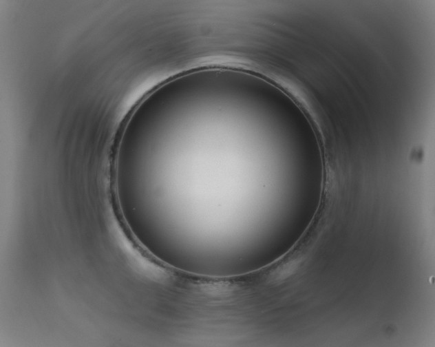 X0000111460999200907131451