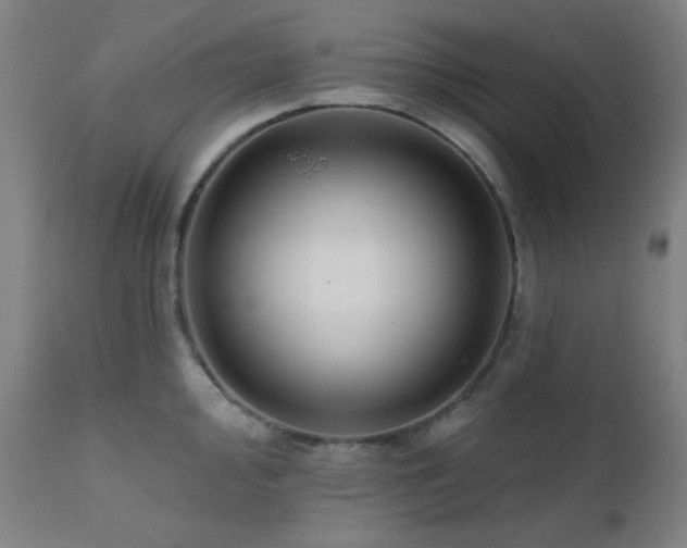 X0000111461000200907131451