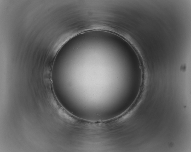 X0000111461001200907131451