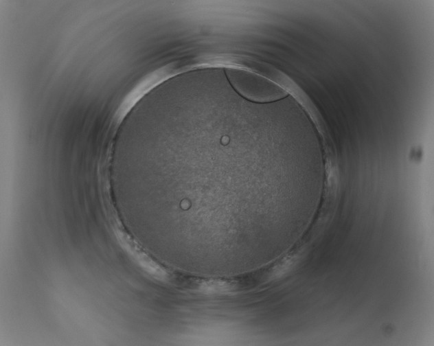 X0000111461002200907131451