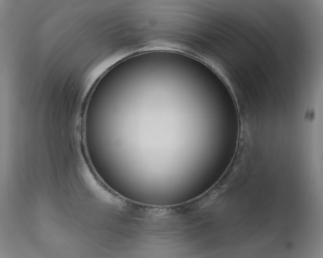 X0000111461003200907131451