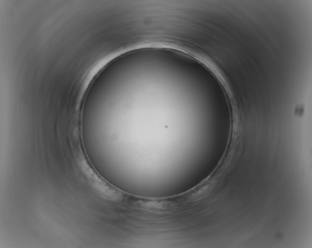 X0000111461004200907131451