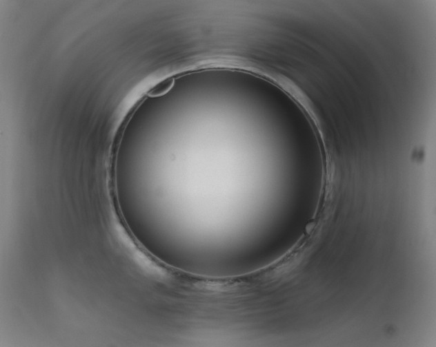 X0000111461005200907131451