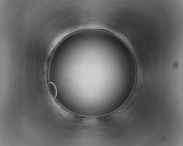 X0000111461006200907131451