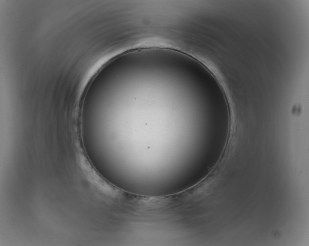 X0000111461008200907131451