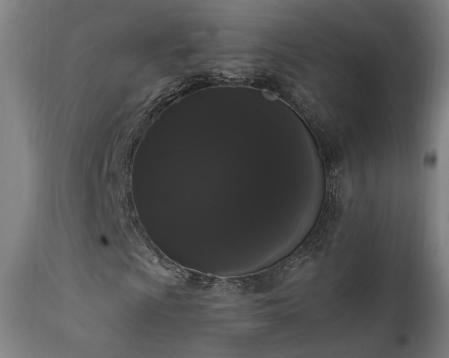 X0000111461009200907131450