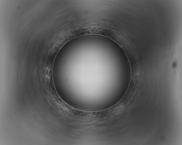 X0000111461010200907131450