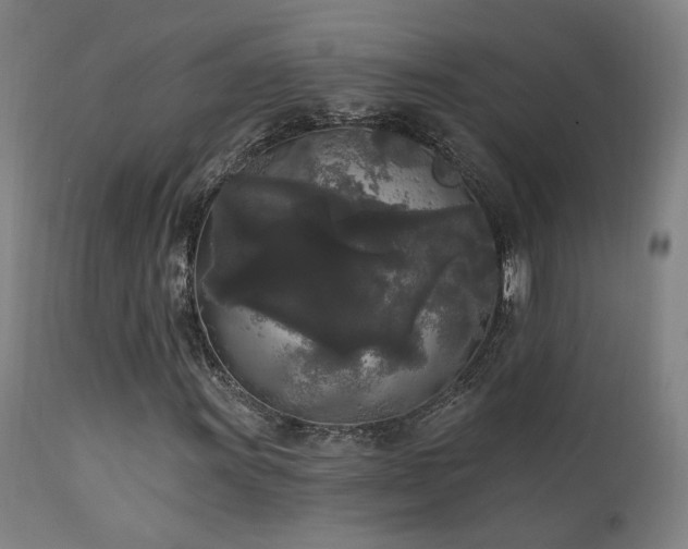 X0000111461011200907131450