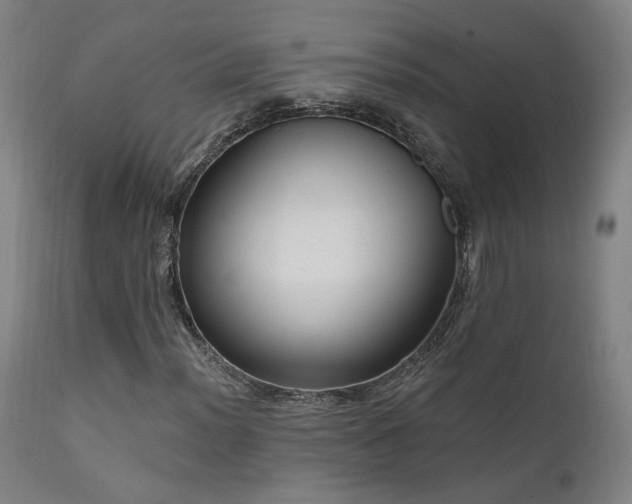 X0000111461012200907131450