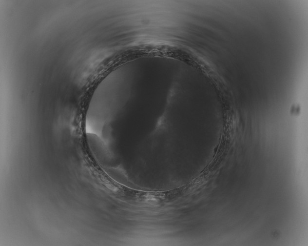 X0000111461013200907131450
