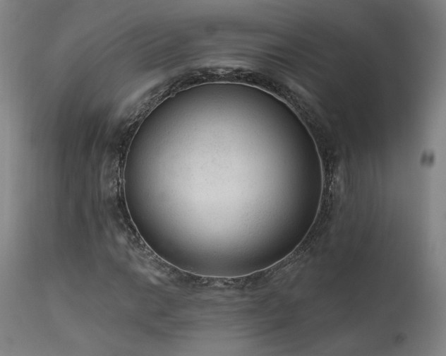 X0000111461014200907131450