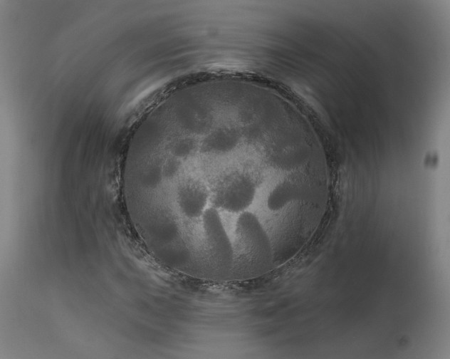X0000111461015200907131450