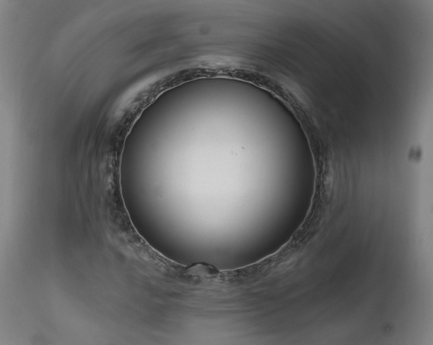 X0000111461016200907131450
