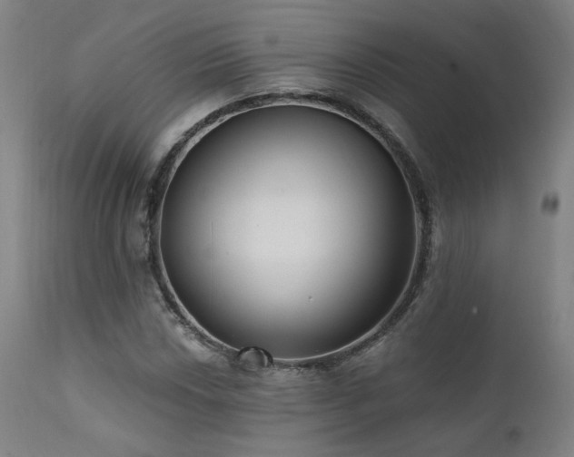 X0000111461018200907131450