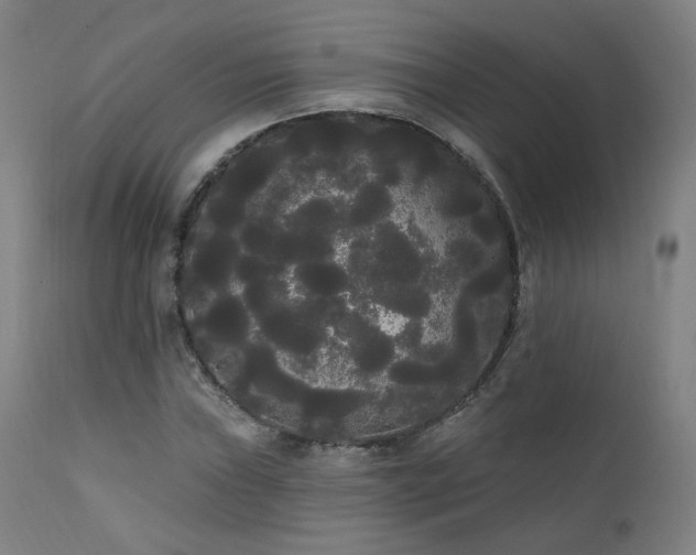 X0000111461019200907131450
