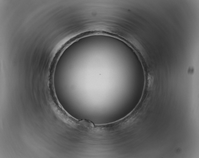 X0000111461020200907131450