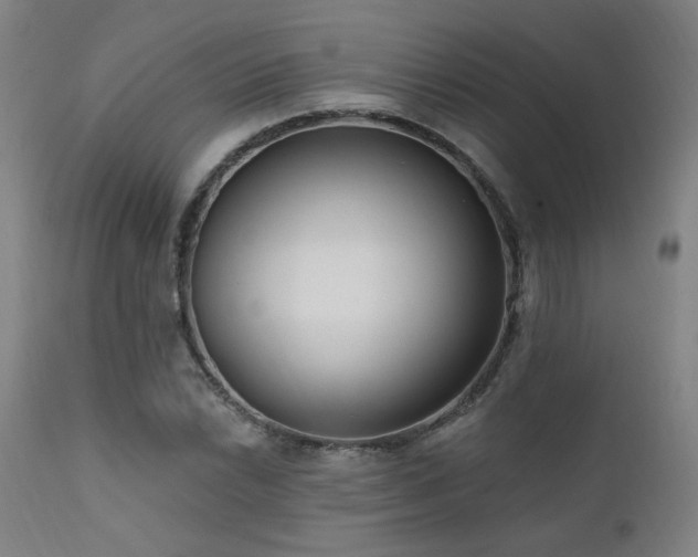 X0000111461022200907131450