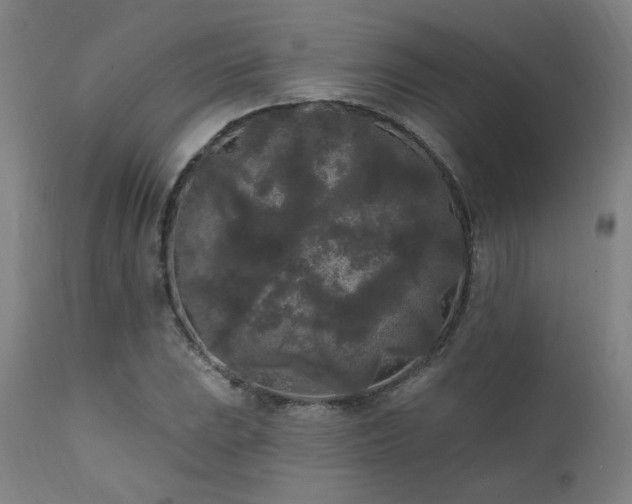X0000111461023200907131450