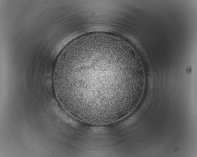 X0000111461025200907131450