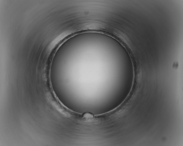X0000111461026200907131450