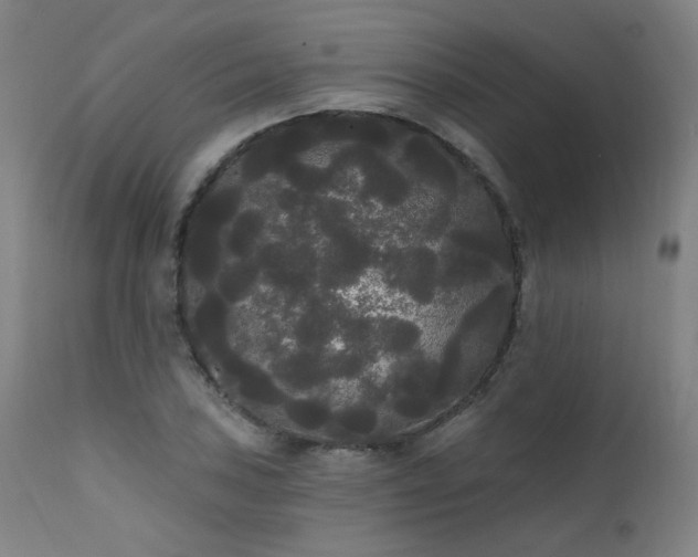 X0000111461027200907131450
