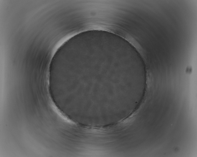 X0000111461028200907131450