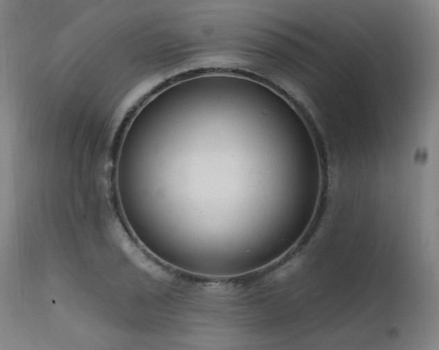 X0000111461029200907131450