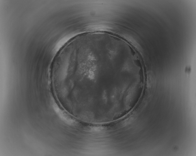 X0000111461031200907131450