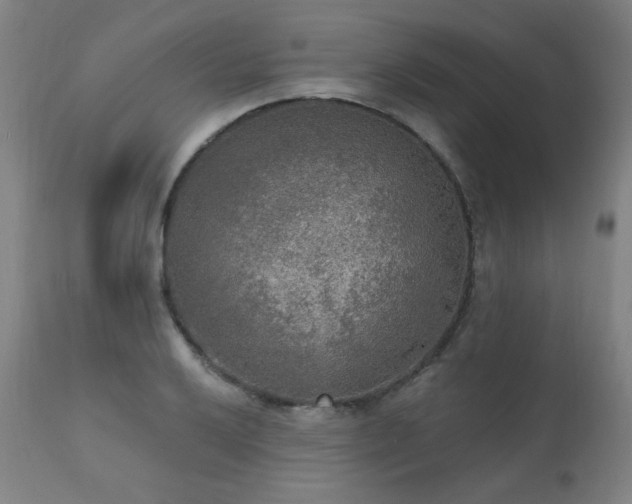 X0000111461032200907131450