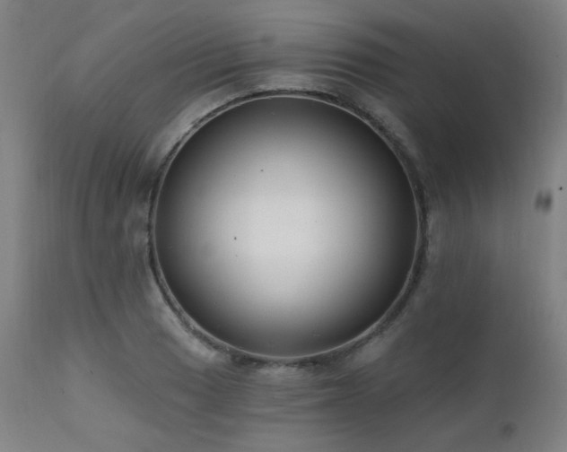 X0000111461033200907131450
