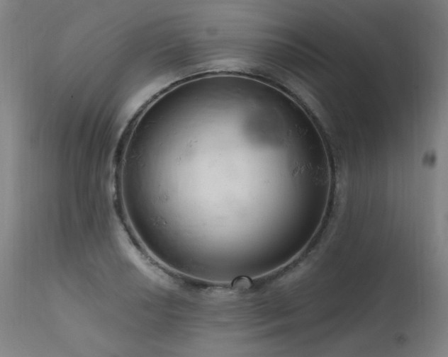 X0000111461034200907131450