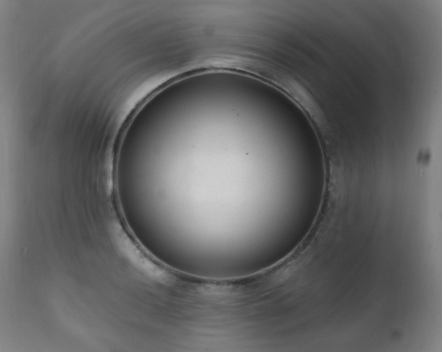 X0000111461036200907131450