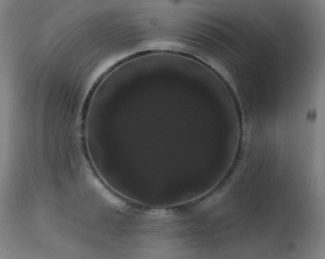 X0000111461037200907131450
