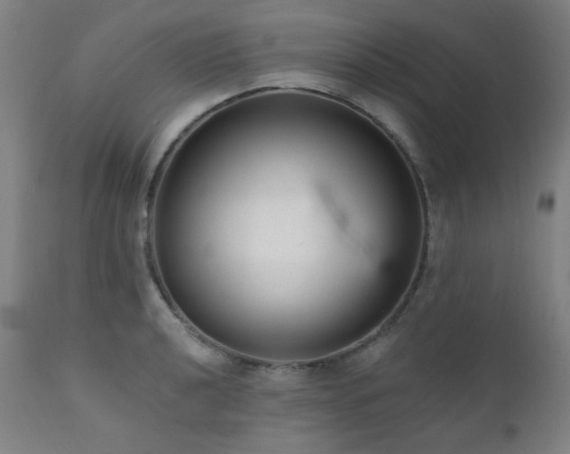 X0000111461040200907131450