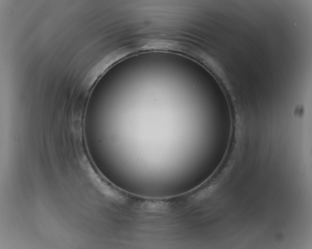 X0000111461041200907131450