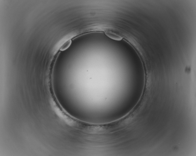 X0000111461042200907131450