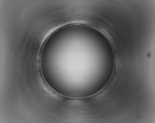 X0000111461044200907131450
